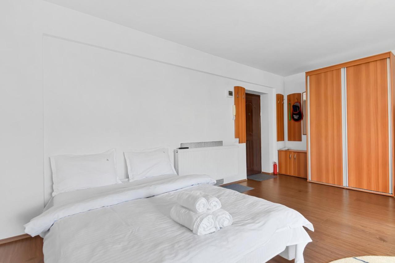 Cozy Montain Studio Apartment Sinaia Exterior photo
